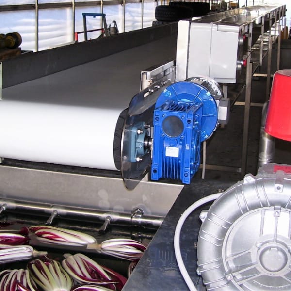 Fruit and vegetable processing belts 